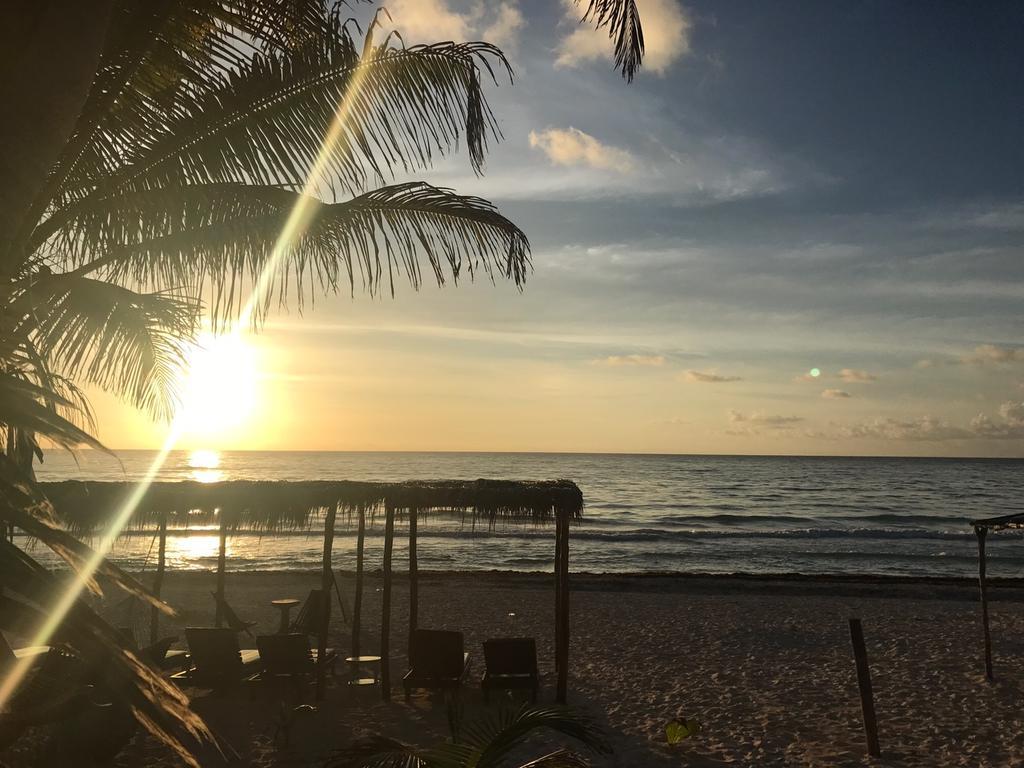 Agua Eco Design Hotel Tulum Dış mekan fotoğraf