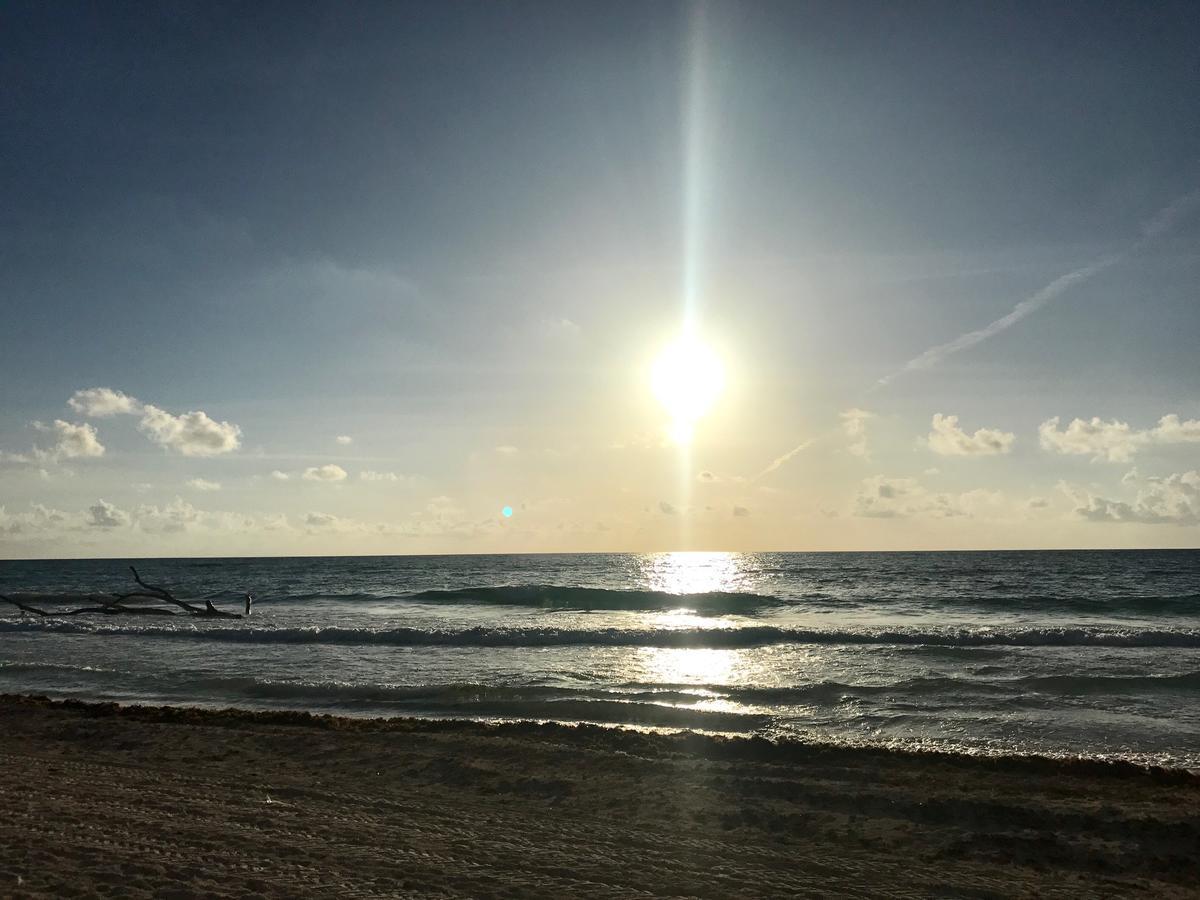 Agua Eco Design Hotel Tulum Dış mekan fotoğraf