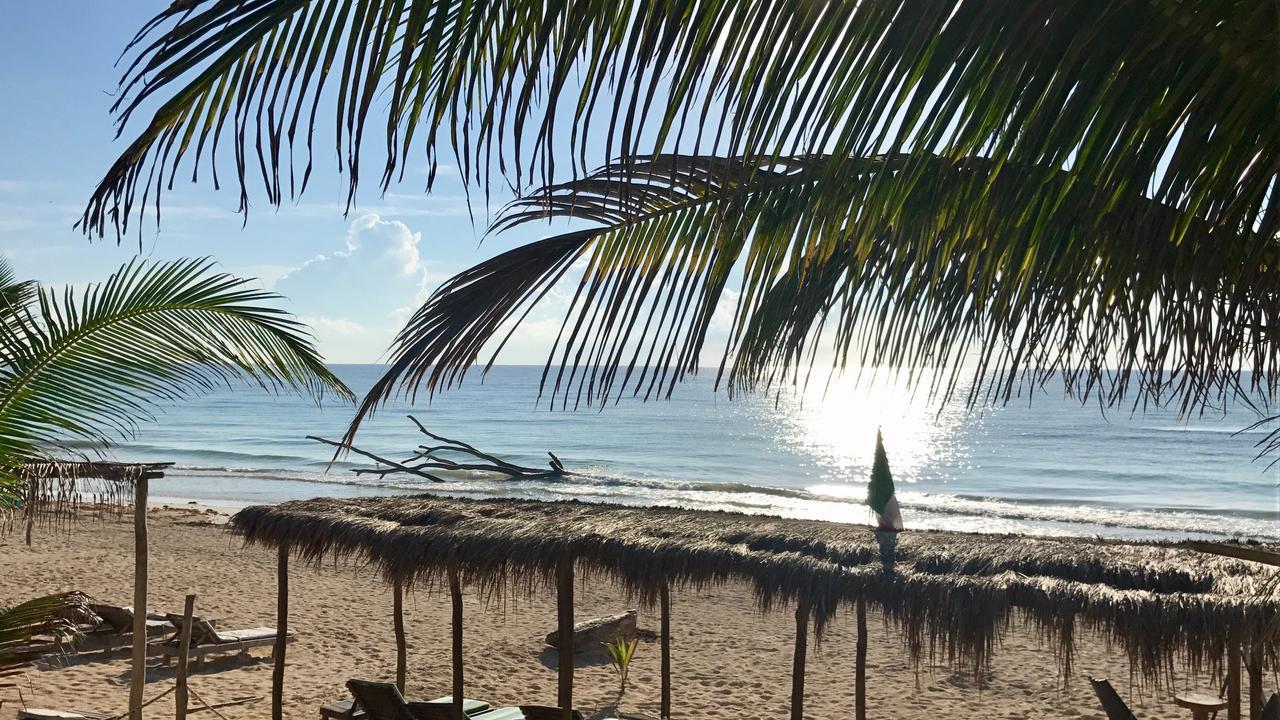 Agua Eco Design Hotel Tulum Dış mekan fotoğraf
