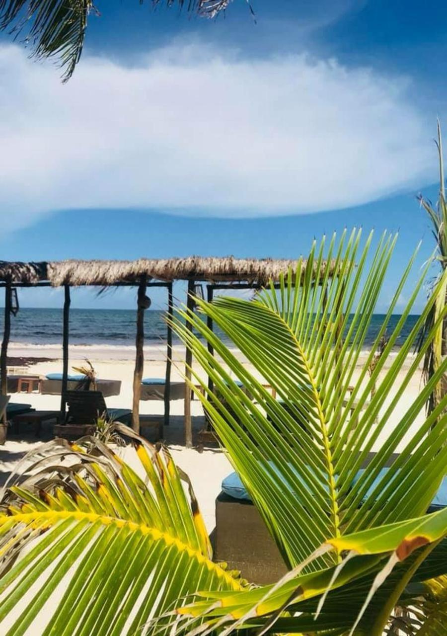 Agua Eco Design Hotel Tulum Dış mekan fotoğraf