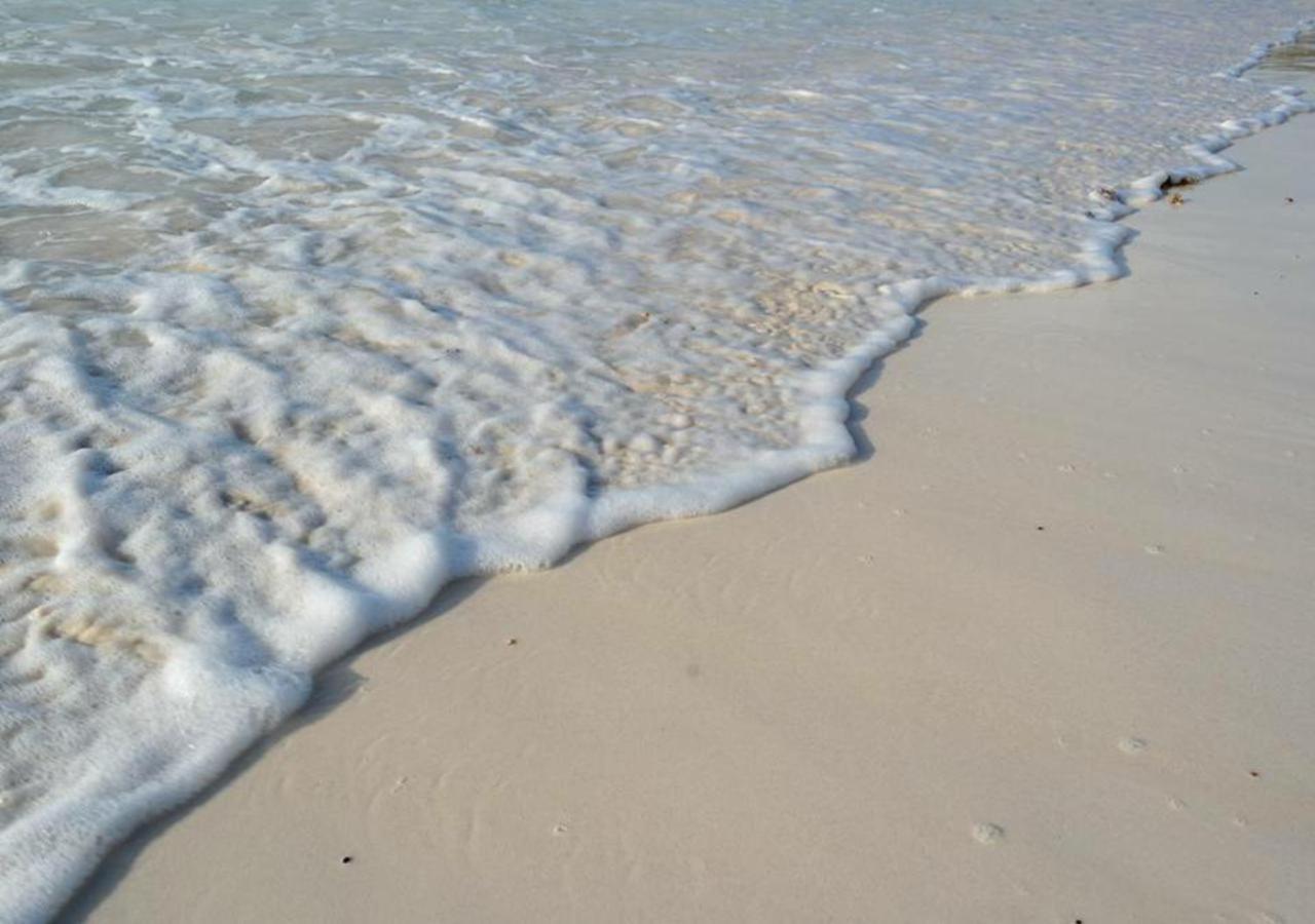 Agua Eco Design Hotel Tulum Dış mekan fotoğraf