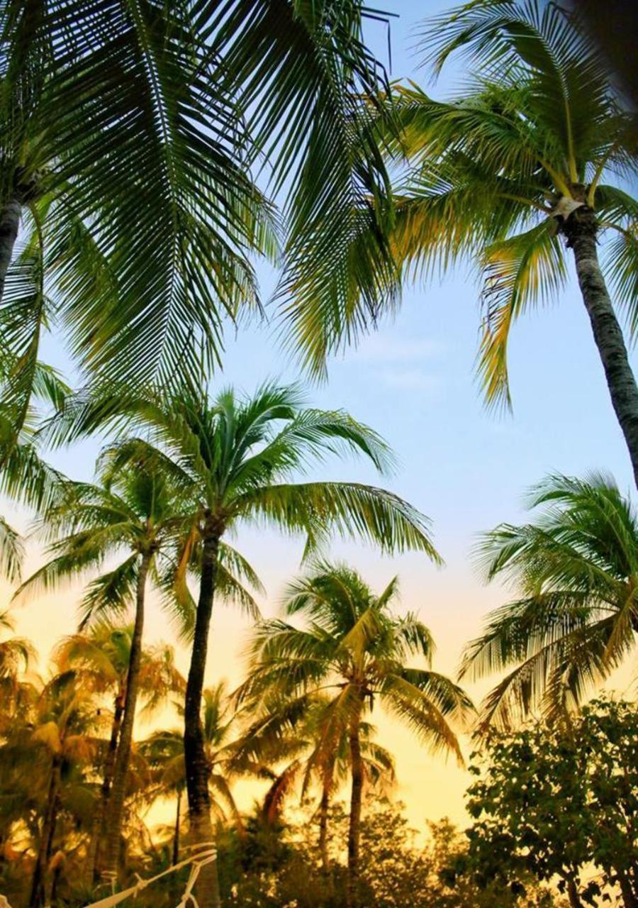 Agua Eco Design Hotel Tulum Dış mekan fotoğraf